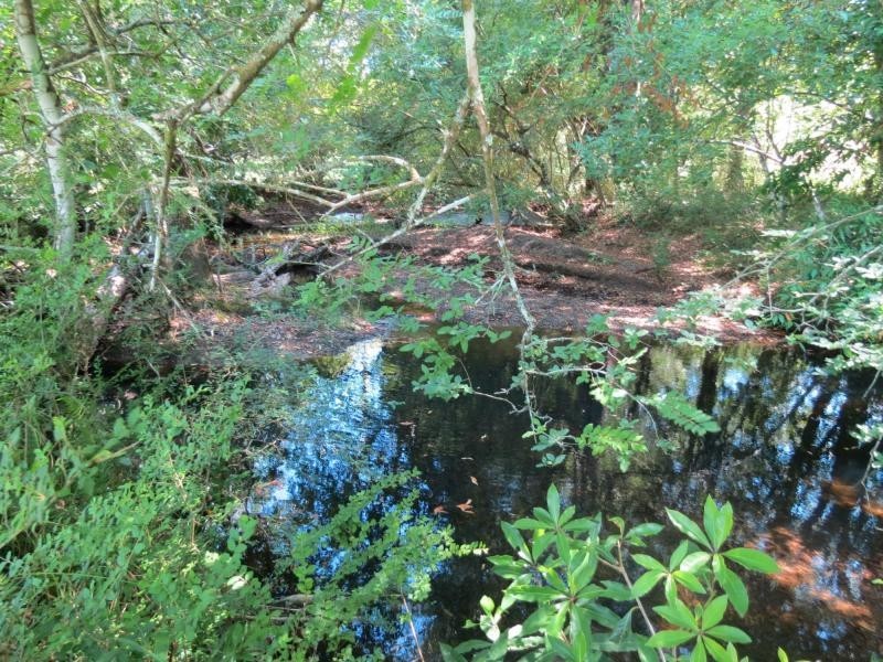 Upper Lansdowne NSW 2430