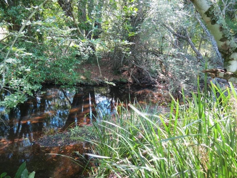 Upper Lansdowne NSW 2430