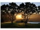 Moorland NSW 2443