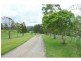 Moorland NSW 2443