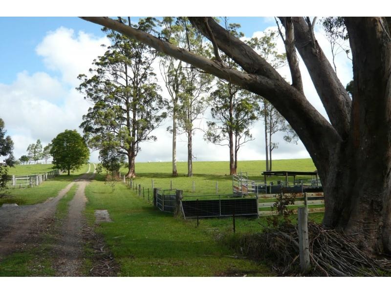 Moorland NSW 2443