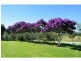 Moorland NSW 2443