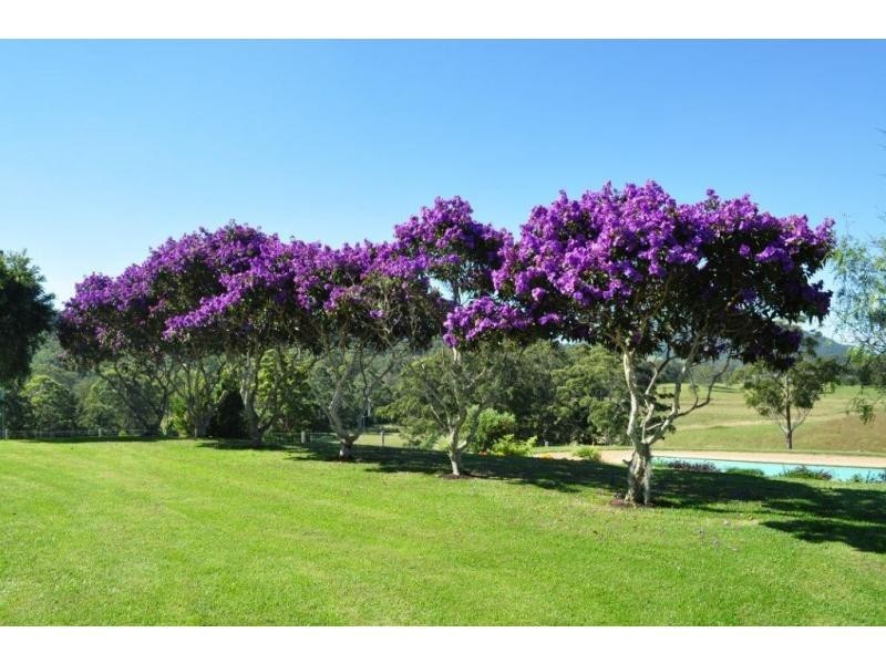 Moorland NSW 2443