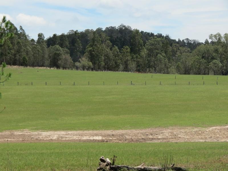 Dyers Crossing NSW 2429