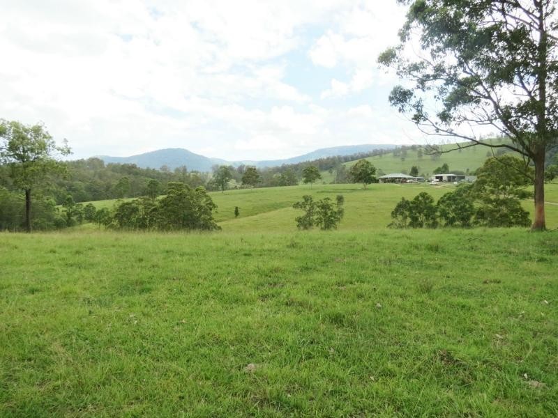 Charity Creek NSW 2424