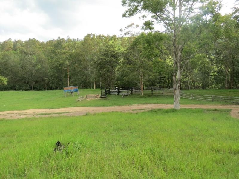 Charity Creek NSW 2424