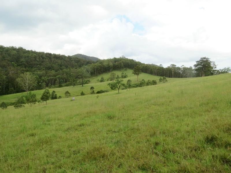 Charity Creek NSW 2424