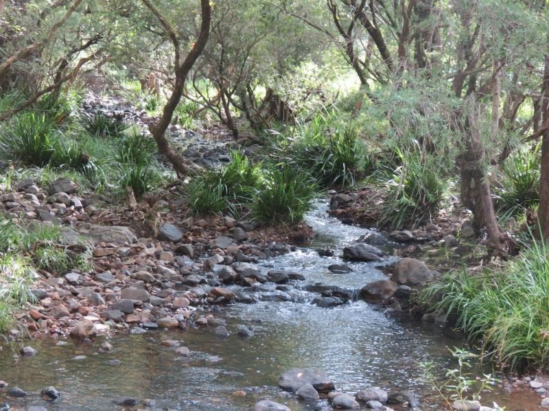 Charity Creek NSW 2424