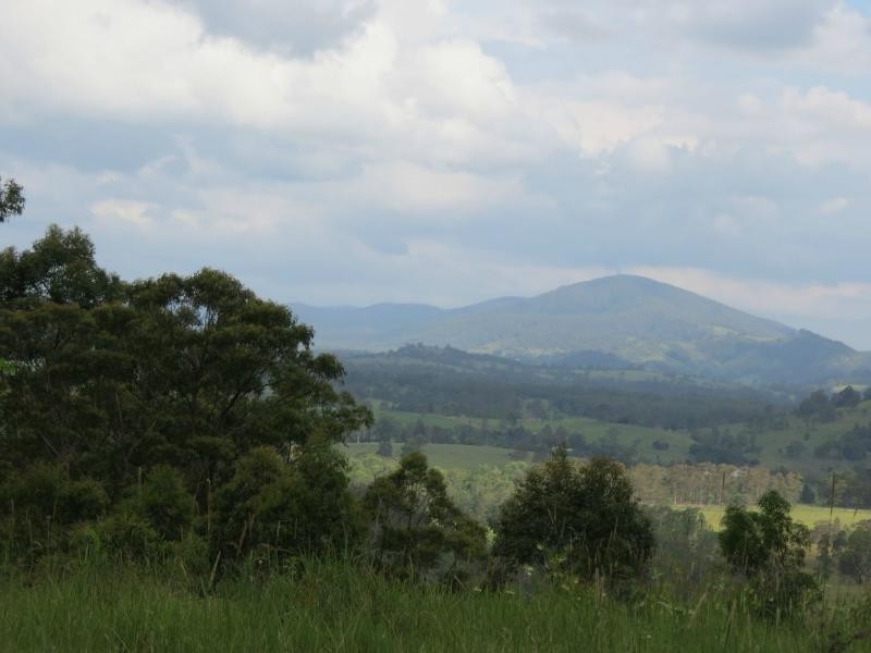 Charity Creek NSW 2424