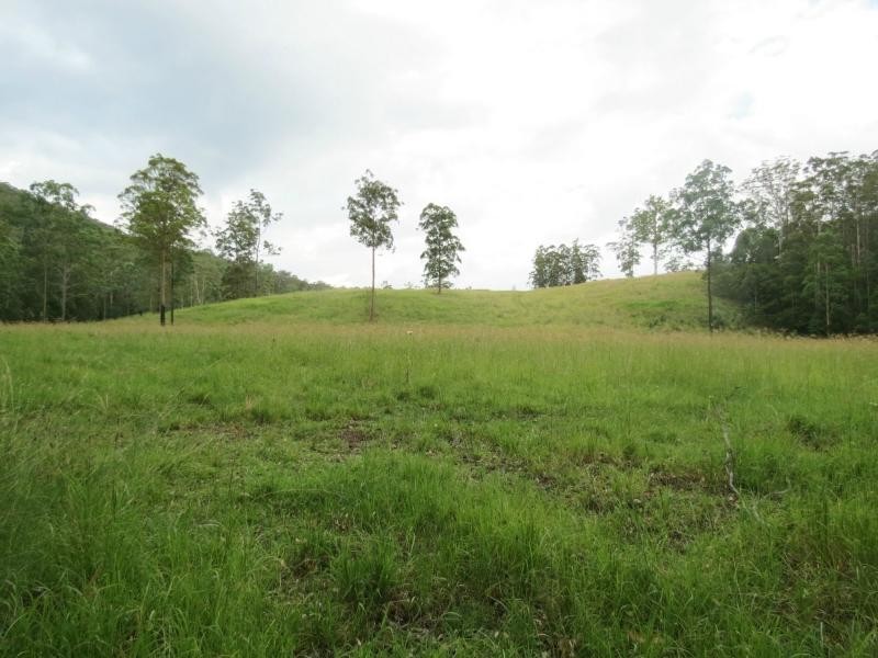 Charity Creek NSW 2424