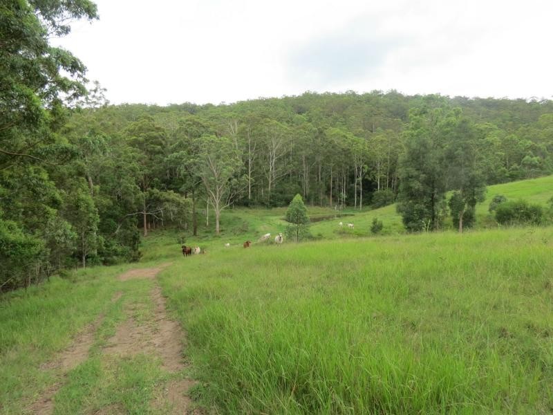 Charity Creek NSW 2424