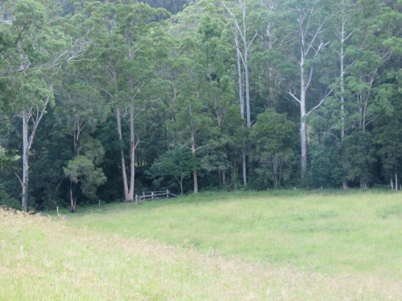 Charity Creek NSW 2424