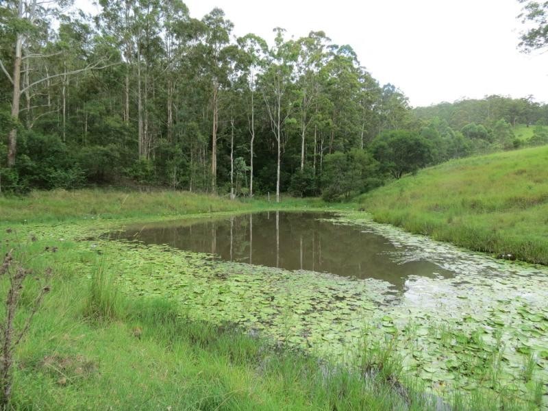 Charity Creek NSW 2424