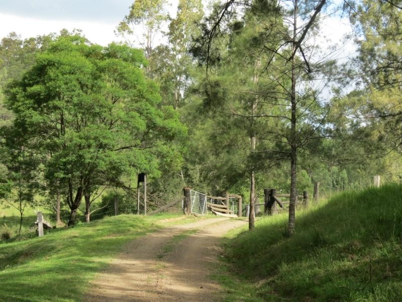 Charity Creek NSW 2424