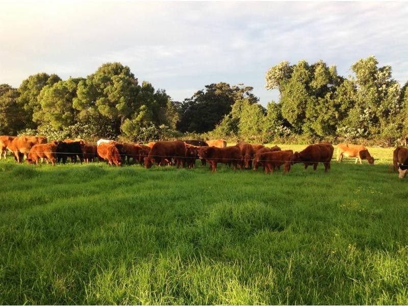 Langley Vale NSW 2426