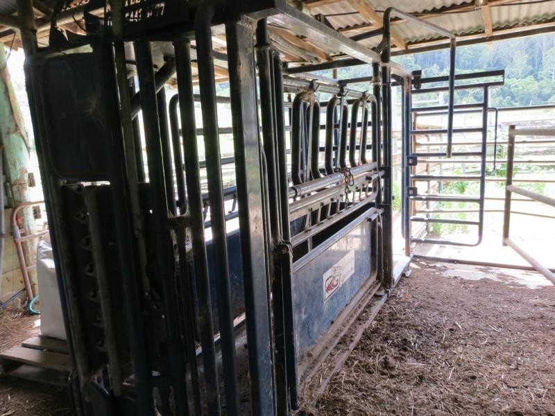 Langley Vale NSW 2426