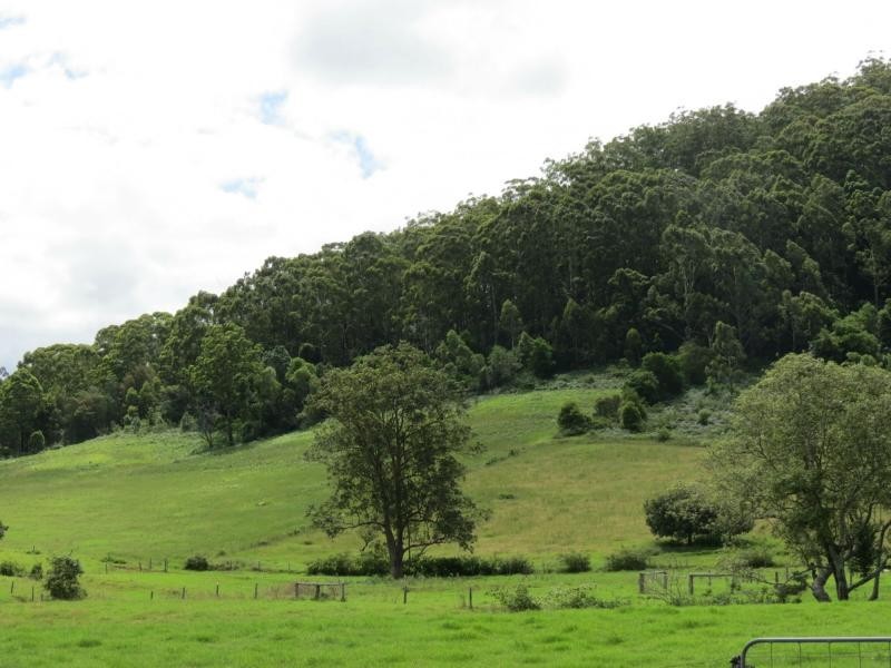 Langley Vale NSW 2426