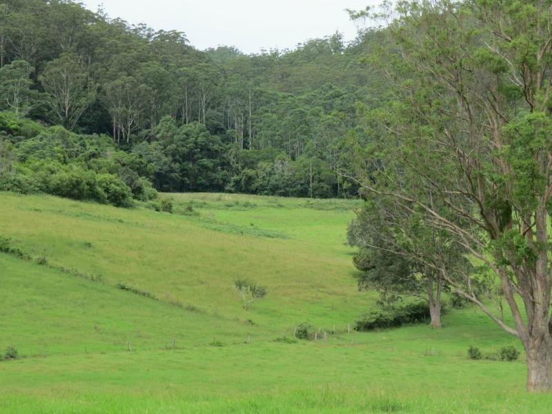 Langley Vale NSW 2426