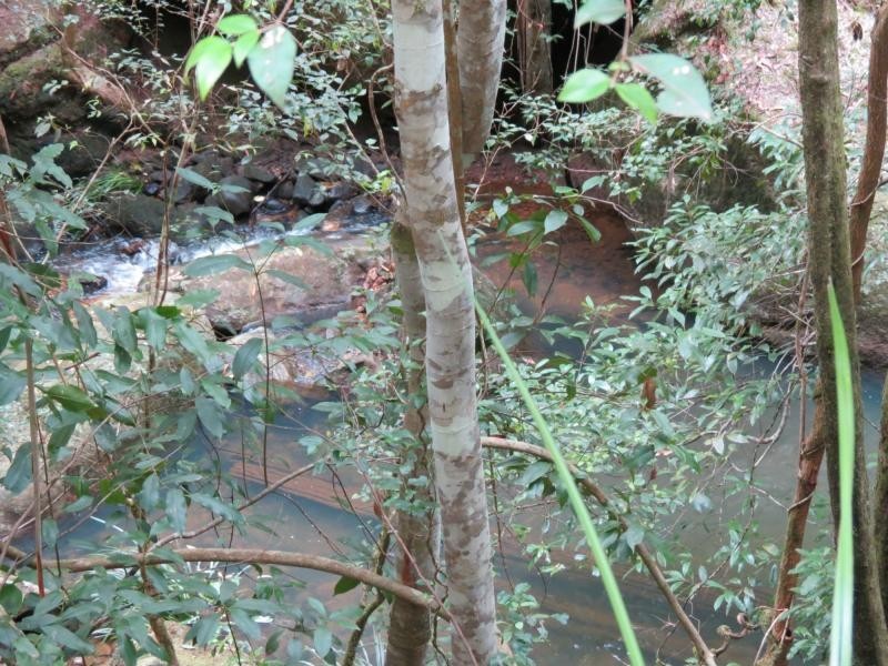 Langley Vale NSW 2426