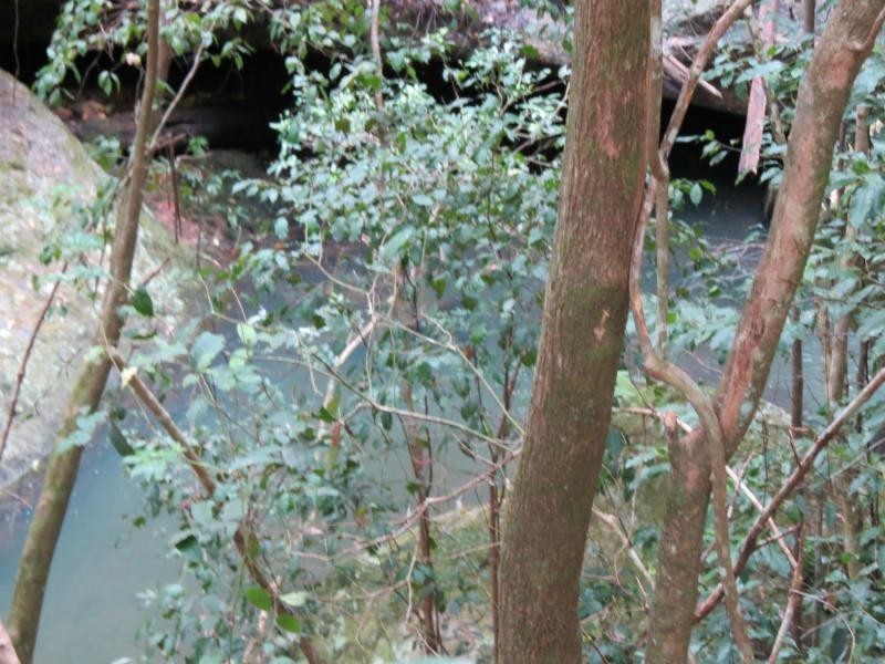 Langley Vale NSW 2426