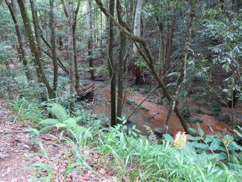 Langley Vale NSW 2426