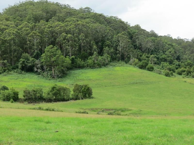 Langley Vale NSW 2426