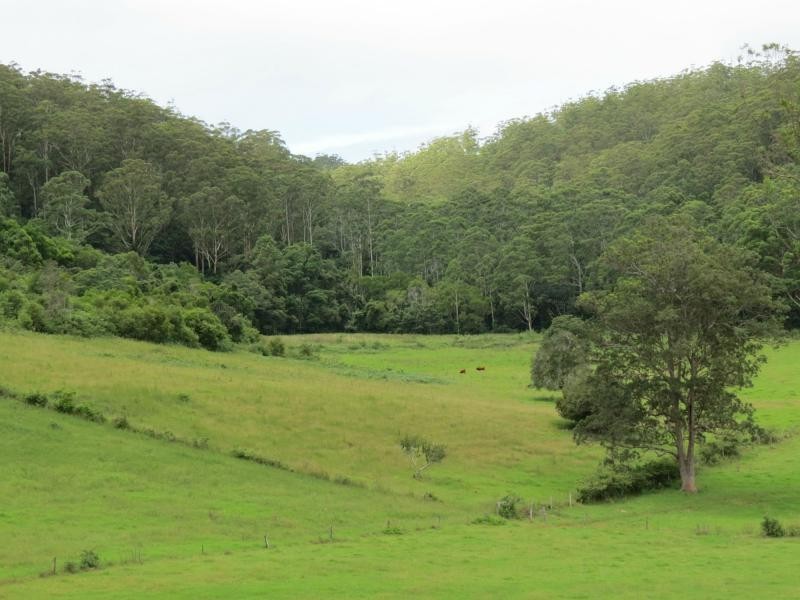 Langley Vale NSW 2426