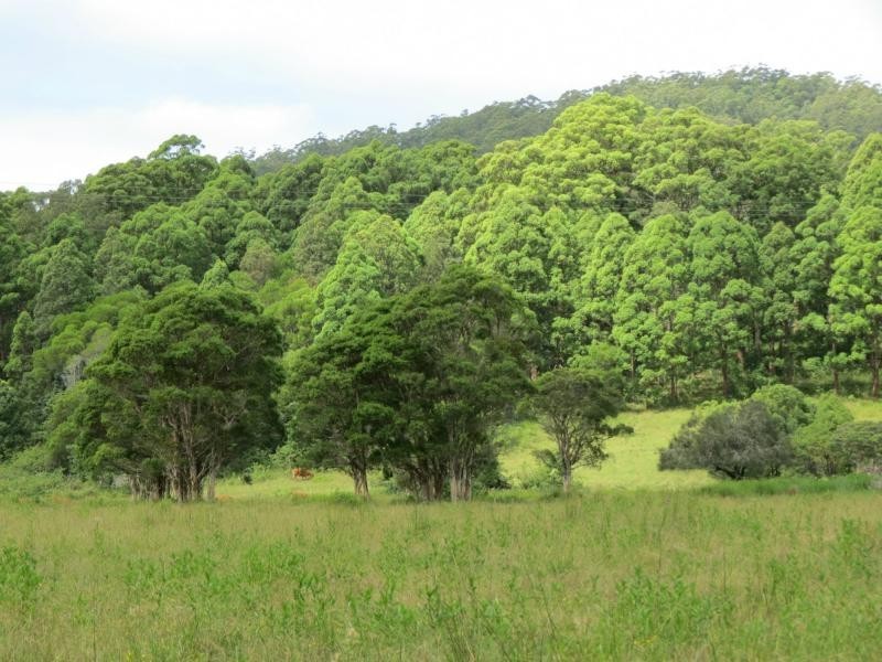 Langley Vale NSW 2426