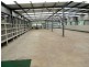 Taree NSW 2430