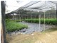 Taree NSW 2430