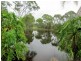Taree NSW 2430