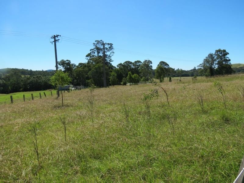 Burrell Creek NSW 2429