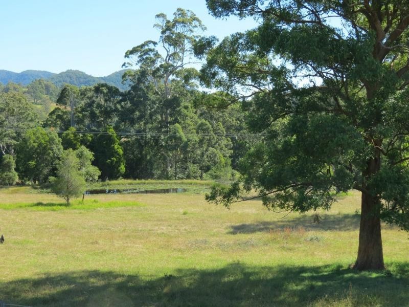 Burrell Creek NSW 2429