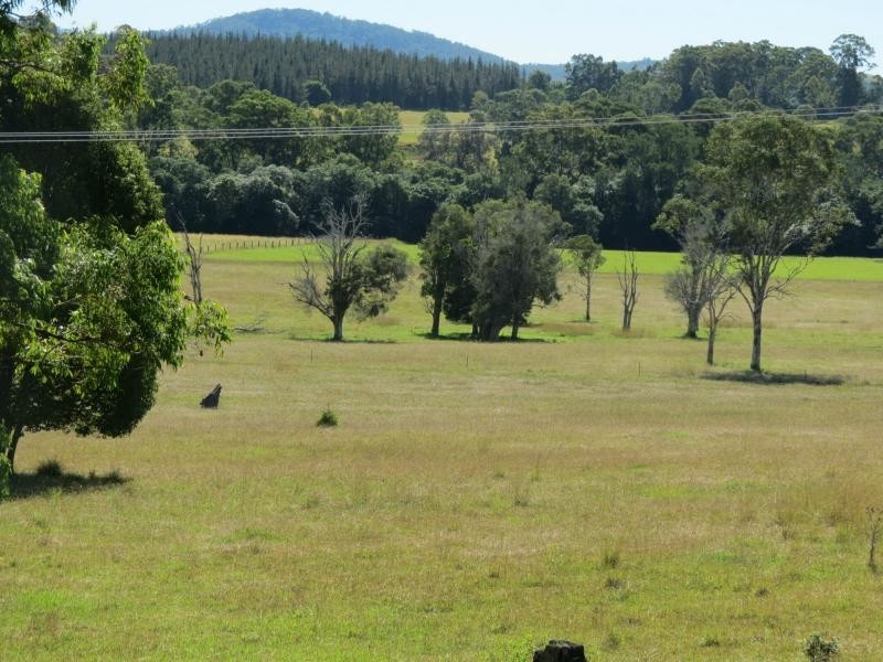 Burrell Creek NSW 2429