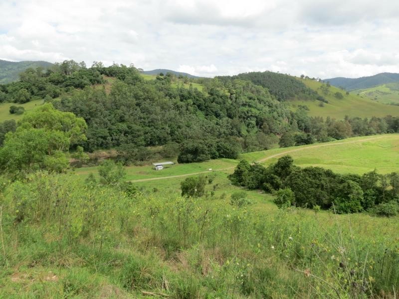 Cundle Flat NSW 2424