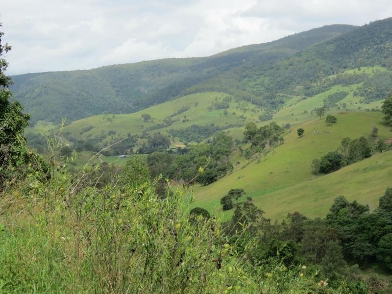 Cundle Flat NSW 2424