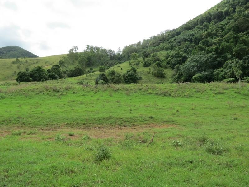 Cundle Flat NSW 2424