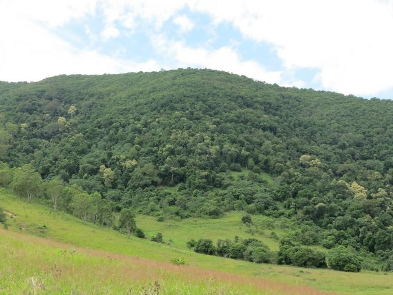 Cundle Flat NSW 2424