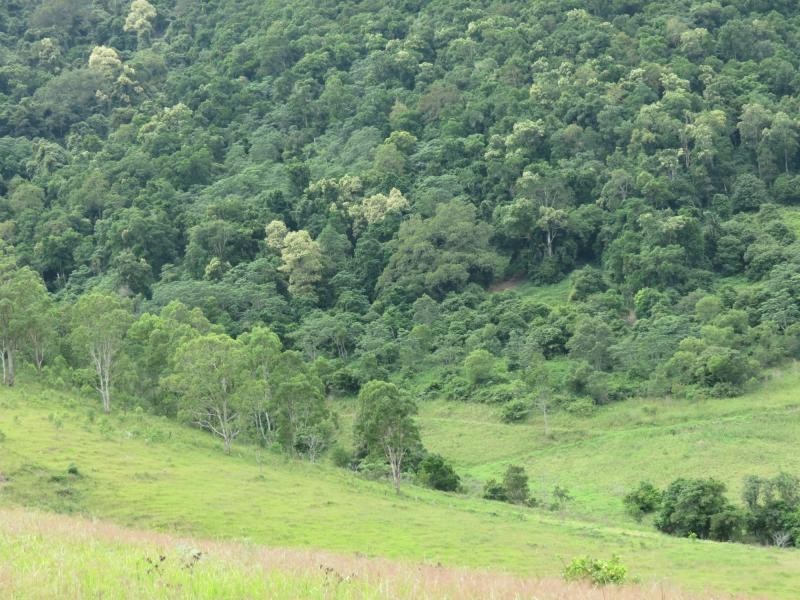 Cundle Flat NSW 2424