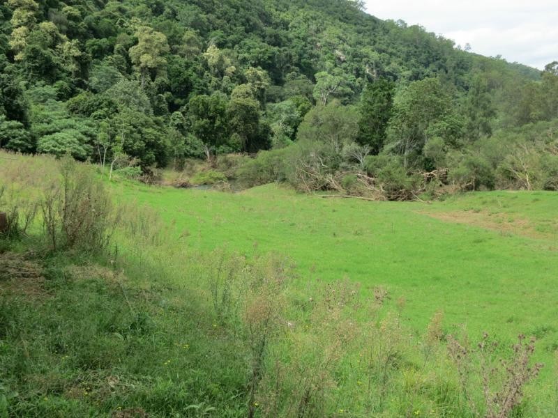 Cundle Flat NSW 2424