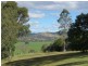 Wingham NSW 2429