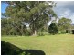 Wingham NSW 2429