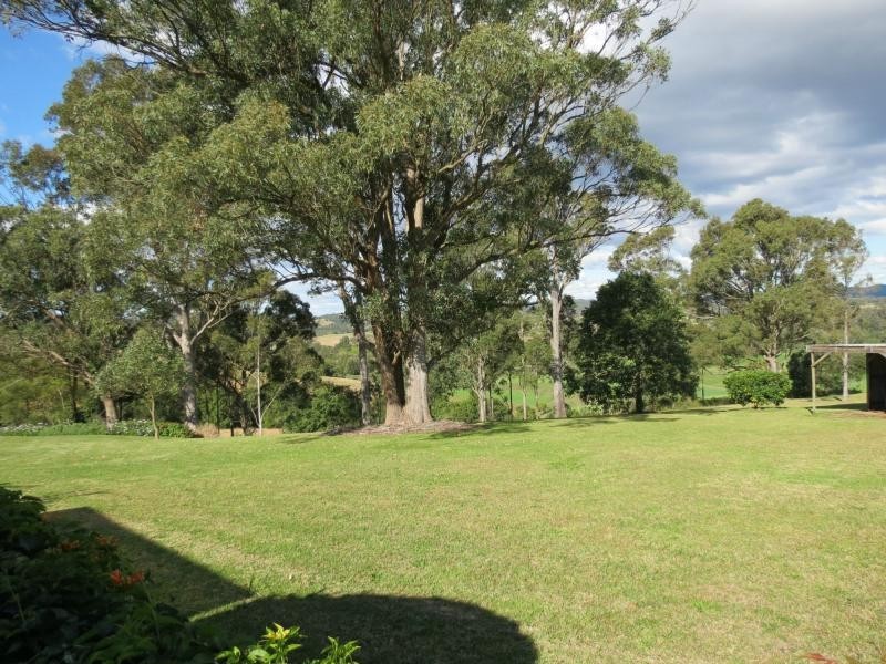 Wingham NSW 2429