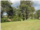 Wingham NSW 2429