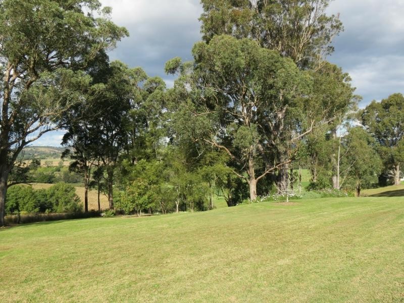 Wingham NSW 2429