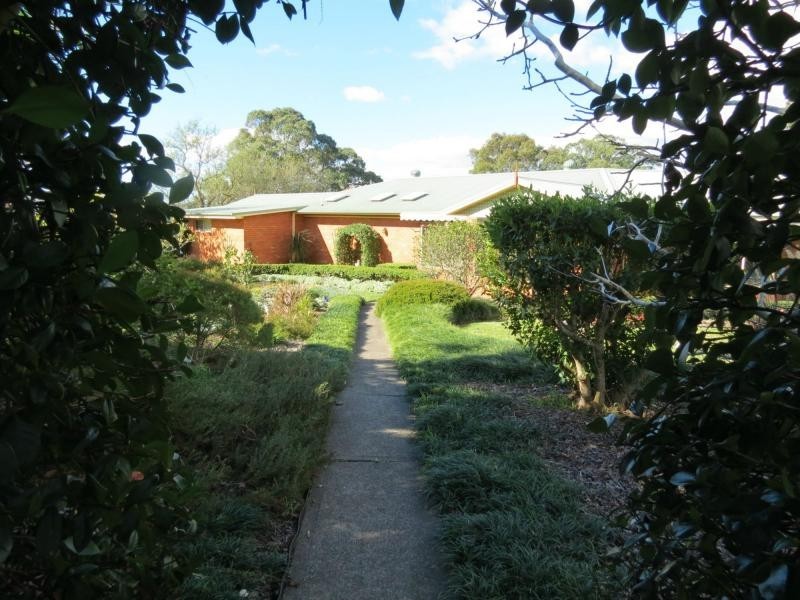 Wingham NSW 2429