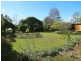 Wingham NSW 2429
