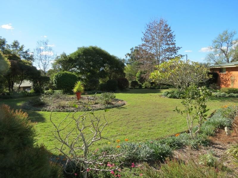 Wingham NSW 2429