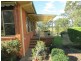 Wingham NSW 2429