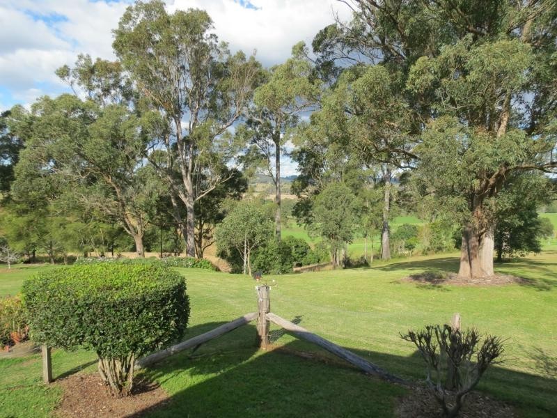 Wingham NSW 2429